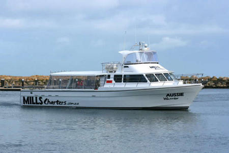 Mills Charters Fishing And Whale Watch Cruises - Accommodation Asia 1