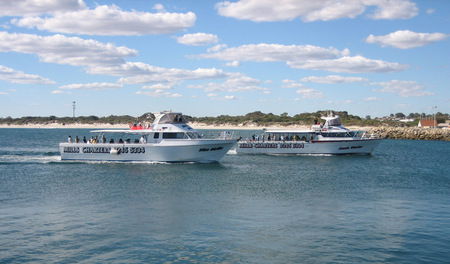 Mills Charters Fishing And Whale Watch Cruises - Accommodation Asia 2