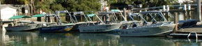 Brooklyn Central Boat Hire & General Store - Accommodation Guide 1