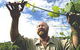 Barossa Experience Tours - thumb 0