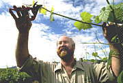 Barossa Experience Tours - Accommodation Asia 0