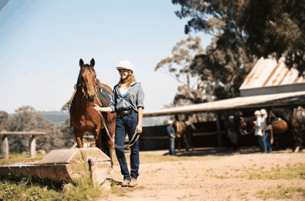 Watsons Trail Rides - Accommodation Asia