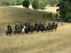 McCormacks Mountain Valley Trail Rides - Accommodation Asia