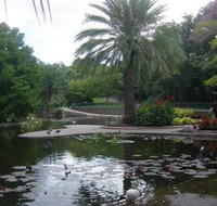 Brisbane City Botanic Gardens - Accommodation Guide