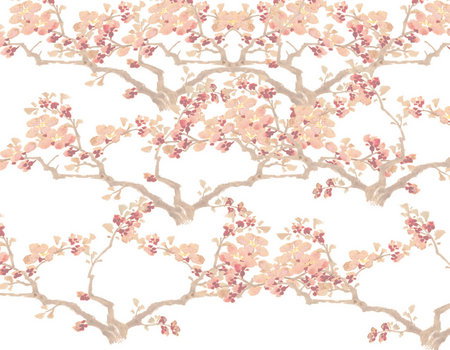 Zen Day Spa - Accommodation China 3