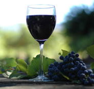 Lion Mill Vineyards - Accommodation Asia