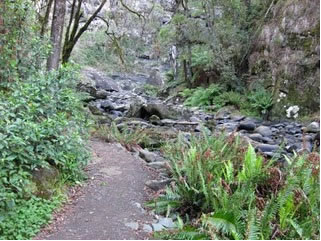 Stevensons Falls - Accommodation China 1