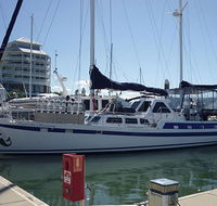 Coral Sea Dreaming Dive and Sail - Accommodation Guide