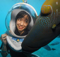 Sunlover Reef Cruises - Accommodation Guide