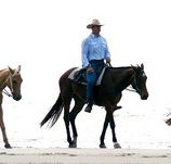 Ride the Beach - Accommodation Guide