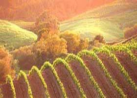 Meridian Tours - Accommodation China 2