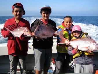 Melbourne Fishing Charters - Accommodation Guide 3