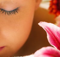 Temple Skincare - Accommodation Asia