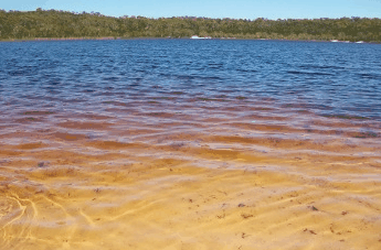 Beach Trekkers North Stradbroke Island - Accommodation Guide 1
