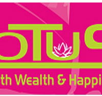 Lotus Massage - Accommodation Guide