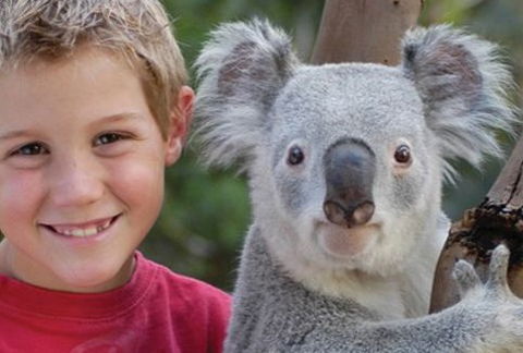 Featherdale Wildlife Park - Accommodation Guide 1