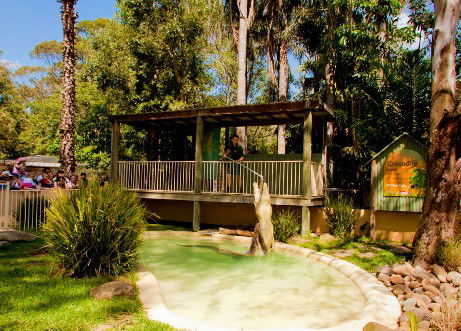 Featherdale Wildlife Park - Accommodation Guide 2