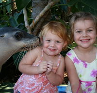 Dolphin Marine Magic - Accommodation Asia