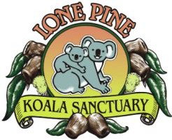 Lone Pine Koala Sanctuary - Accommodation Asia 0