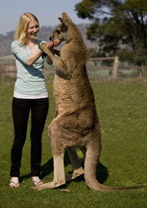 Zoo Doo Wildlife Park - Accommodation Guide 5