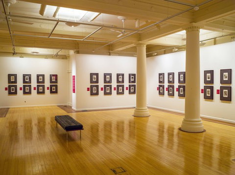 Cairns Regional Gallery - Accommodation China 2