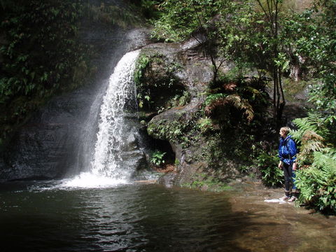 Blue Mountains Adventure Company - Accommodation Asia 1