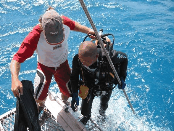 Big Cat Reality - Accommodation China 2