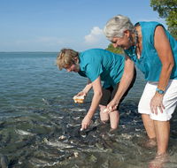 Aquascene Fish Feeding Sanctuary - Accommodation China