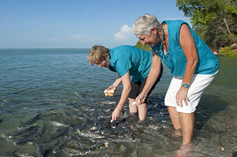 Aquascene Fish Feeding Sanctuary - Accommodation China 0