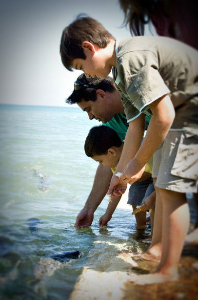 Aquascene Fish Feeding Sanctuary - Accommodation China 3