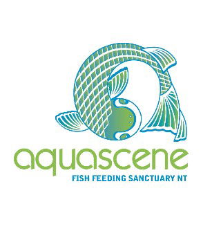 Aquascene Fish Feeding Sanctuary - Accommodation China 5