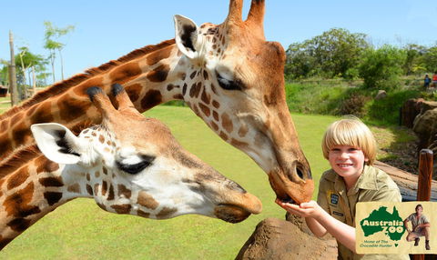 Australia Zoo - Accommodation Asia 4