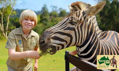 Australia Zoo - Accommodation Asia 5