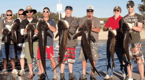 BKs Gold Coast Fishing Charters - Accommodation Guide 1