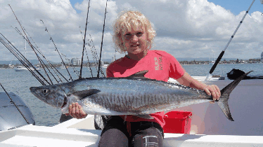 BKs Gold Coast Fishing Charters - Accommodation Guide 3
