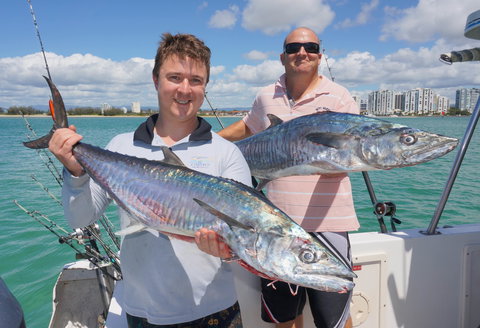 BKs Gold Coast Fishing Charters - Accommodation Guide 6
