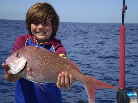 Mills Charters Fishing And Whale Watch Cruises - Accommodation Asia 4