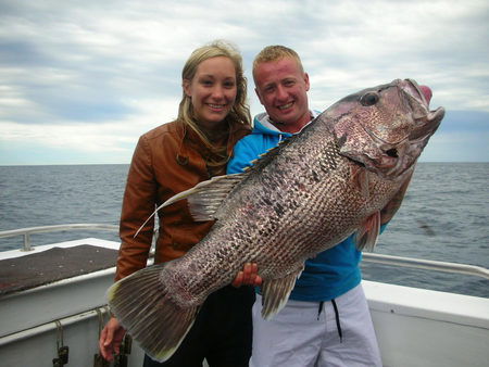 Mills Charters Fishing And Whale Watch Cruises - Accommodation Asia 5