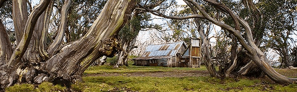 High Country Scenic Tours - Accommodation Guide