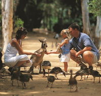 Billabong Sanctuary