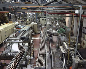 Cascade Brewery Tour - Accommodation China 2