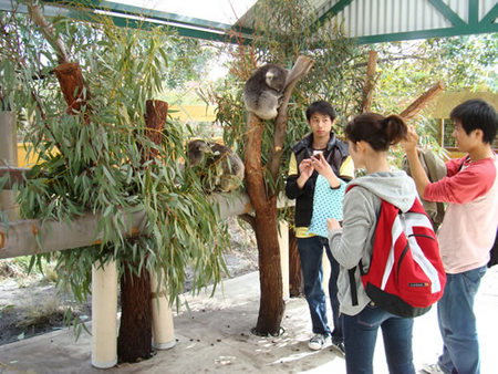 Caversham Wildlife Park - Accommodation China 4