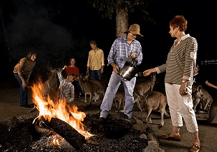 Cairns Night Zoo - Accommodation Guide 0