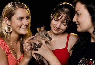 Cairns Night Zoo - Accommodation Guide 1