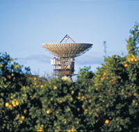 Big Dish - Accommodation Asia