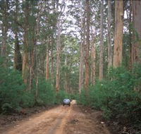 Boranup Drive - Accommodation Guide