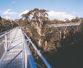  Accommodation Guide