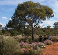 Karlkurla Bushland Park - Accommodation Guide