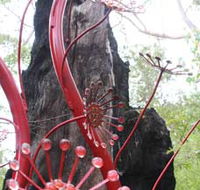 Understory Art In Nature - Accommodation Guide