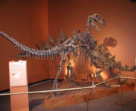 Denmark Dinosaur World - Accommodation Asia 0